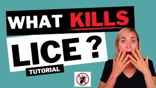 What Kills Lice Tutorial