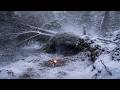 I Built a Survival Shelter &amp; Slept Outside in −16°C | Winter Bushcraft