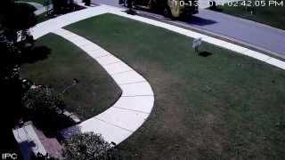 Trash Taxi vs Mailbox