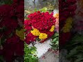 কারণে অকারণে সবসময় ফুল দিও