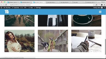 Free WordPress Theme One Paze - Configure About, Project and Service Section | WordPress Tutorial
