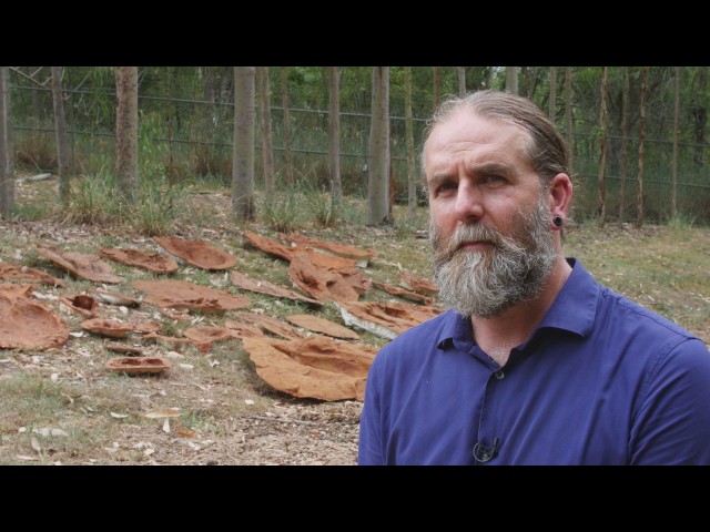 Watch ‘Australia’s Jurassic Park’ the world’s most diverse on YouTube.