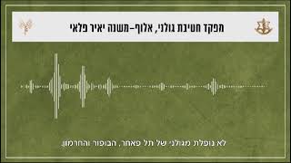 80 ימים בעזה מעיניי הלוחמים: קולות קשר של מפקד חטיבת גולני, אלוף-משנה יאיר פלאי ביציאה מן הרצועה.