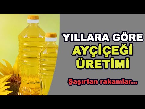 Video: Yıllık ve Çok Yıllık Ayçiçekleri