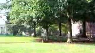 UNC Campus: Wilson Library