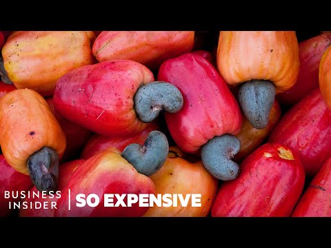 Why Cashew Nuts Are So Expensive | So