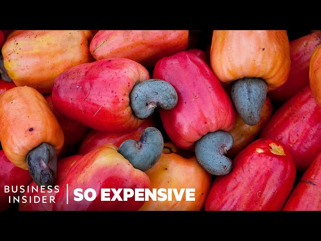 Why Cashew Nuts Are So Expensive | So Expensive class=