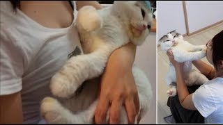 ママともちとら　～キッス拒否～