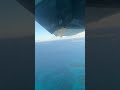 Praslin Winter Wonderland #shorts #vlog #seychelles #trippinbirds