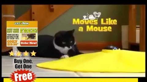 Catnip Cat Toys ! Cat Toy ! Cats Meow Toy ! As Seen On Tv !