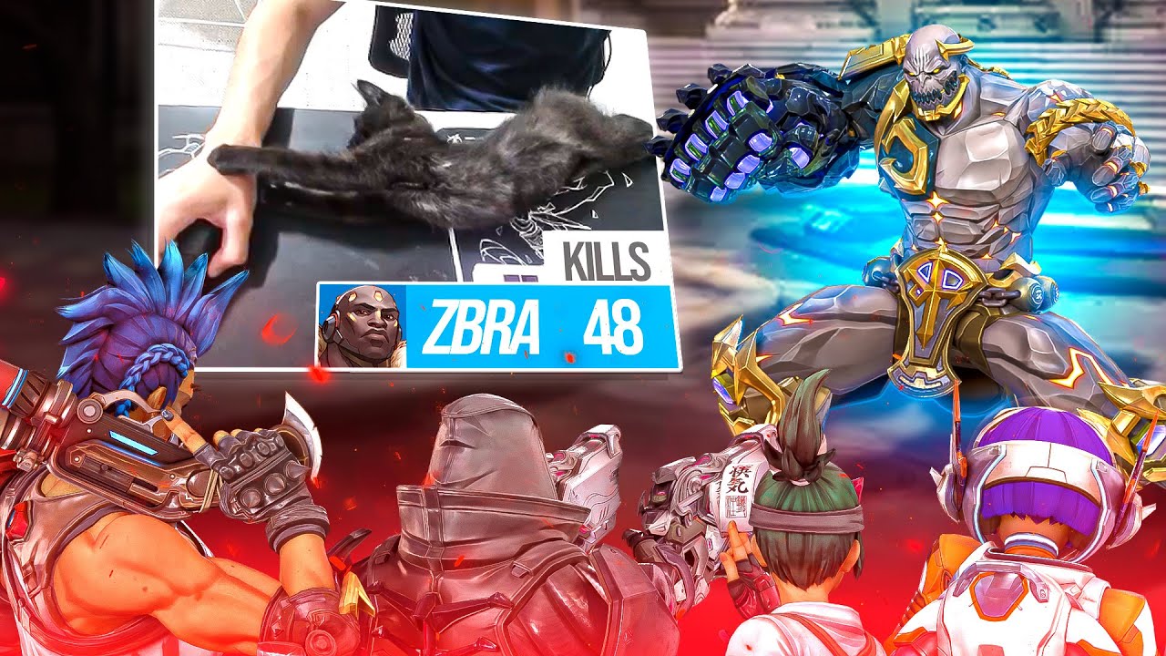 ZBRA Fights Enemy, Team, Chat, and Cat | Doomfist Gameplay