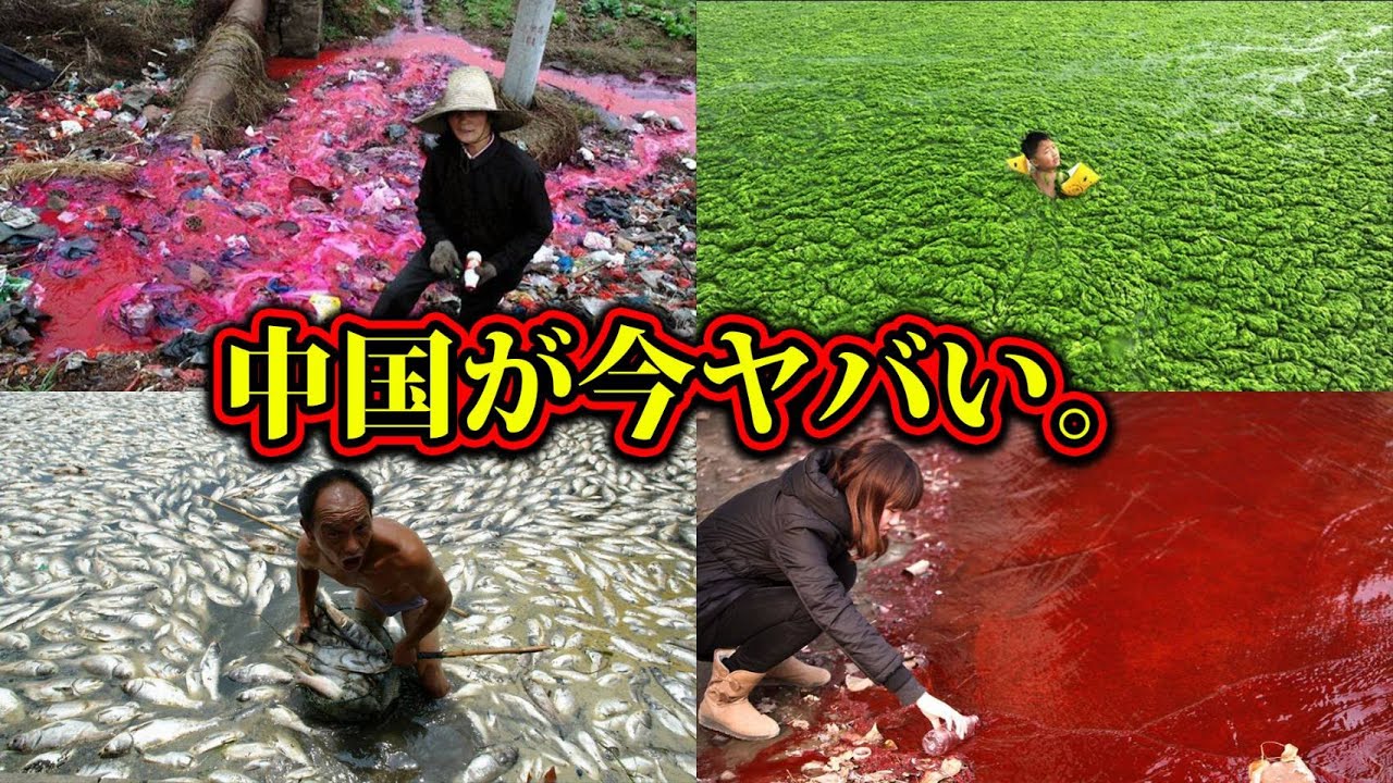 日本も必ずこうなる。