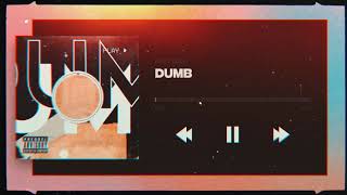 DUMB - EMILY COLE (official lyric video)