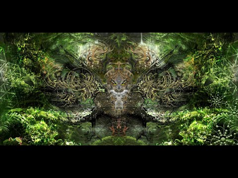 SPIRITZ OF THE JUNGLE 2019 AFTERMOVIE