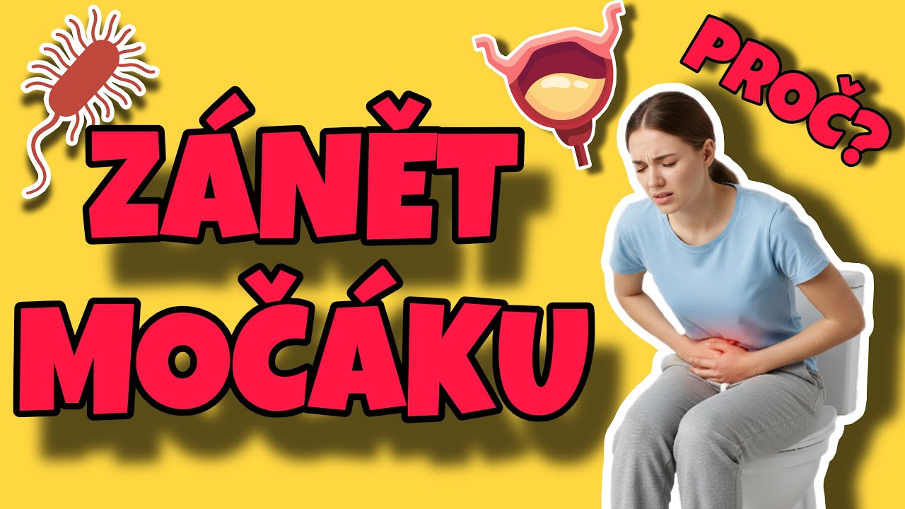 Proč mají sexuálně aktivní ženy častěji infekce močových cest?