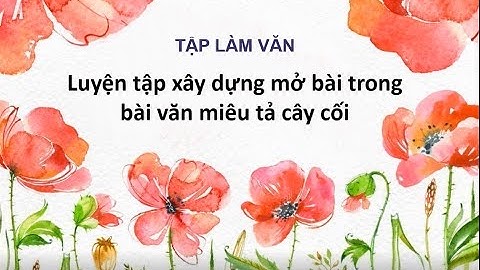 Lớp 4 - Tuần 25 - TLV - Luyện tập xây dựng mở bài trong bài văn miêu tả cây cối