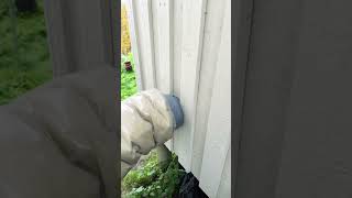 Earing Bitcoins While Heating The House