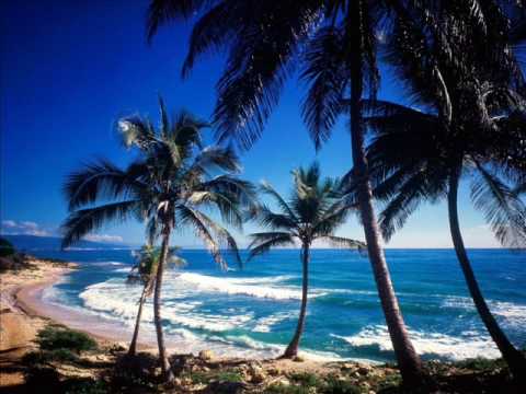 Sunrise Inc - One In A Million
