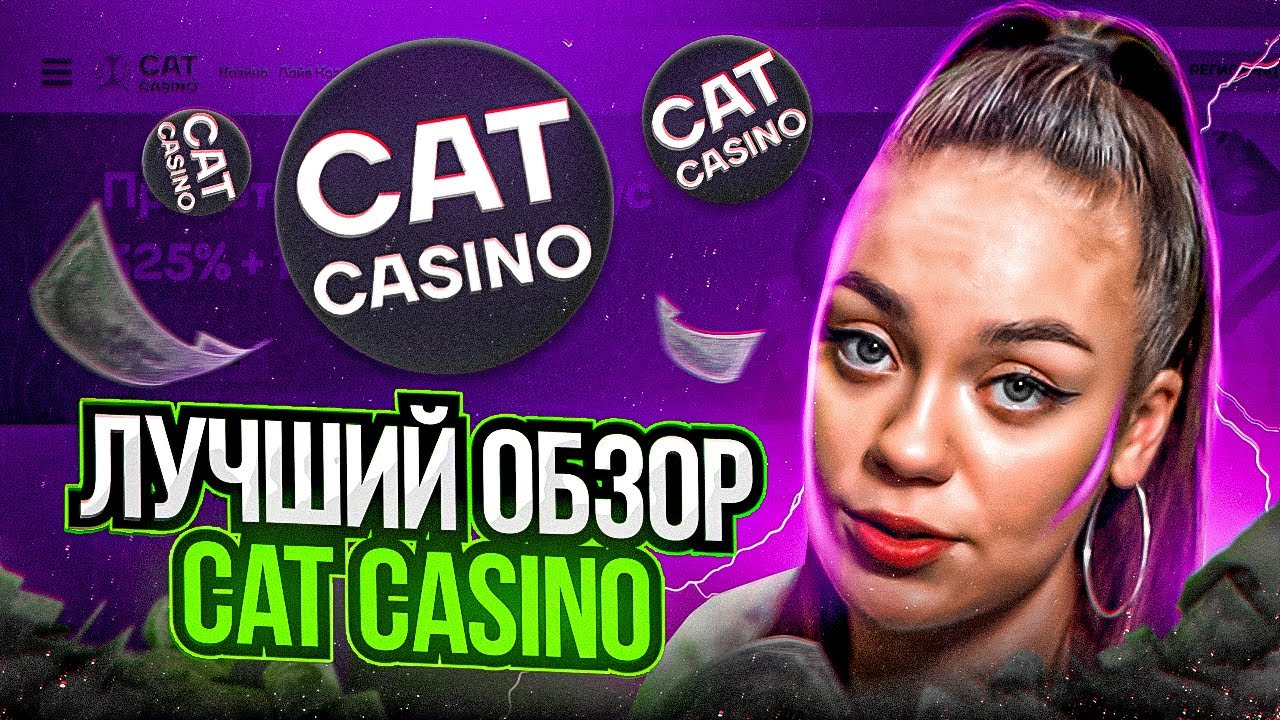 Cat casino промокоды 2023 catcasx com