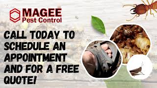 Comprehensive Pest Control Services in Dublin – Woodworm, Cockroaches, Bed Bugs & More"