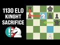1130 ELO Player Make A Knight Sacrifice !! | Chess_cat