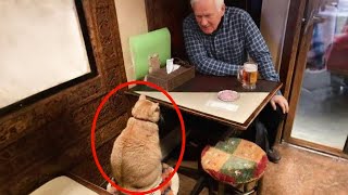 I Wanted A Comedian Cat, But God Gave Me A Little Human