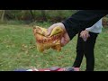 How To Throw a Cornhole Bag | Types of Cornhole Shots | American Cornhole Association
