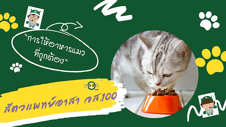 สัตวแพทย์อาสา จส.100 : การให้อาหารแมวที่ถูกต้อง