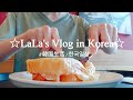 【KOR】한국일상:日本人主婦の韓国日常Vlog♯037 朝のジム、ベトナム料理ランチ、葡萄祭り、カフェでモーニング、ソルビン、葡萄ジャム、スライムカフェ