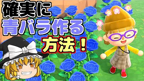 とび森 簡単 確実に青いバラを咲かせる方法