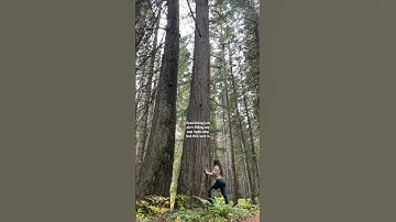 Sensitive, intuitive introverts will get it #introvert #empath #infj