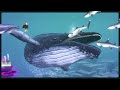 Saving Baby Whales from Deadly Shark Attacks - Dave the Diver