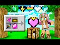 Using CUSTOM HEARTS in Minecraft