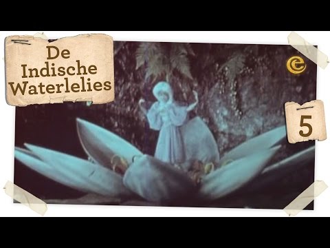 De Indische Waterlelies - De Magische Klok - Efteling