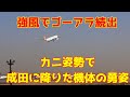 【成田空港 強風でゴーアラ続出!目的地変更も相次ぐ中、カニ姿勢で着陸した機体が凄い】2026.01.13 4K撮影NARITA Airport ゴーアラ続出の成田で見せた、横向きアプローチの極み