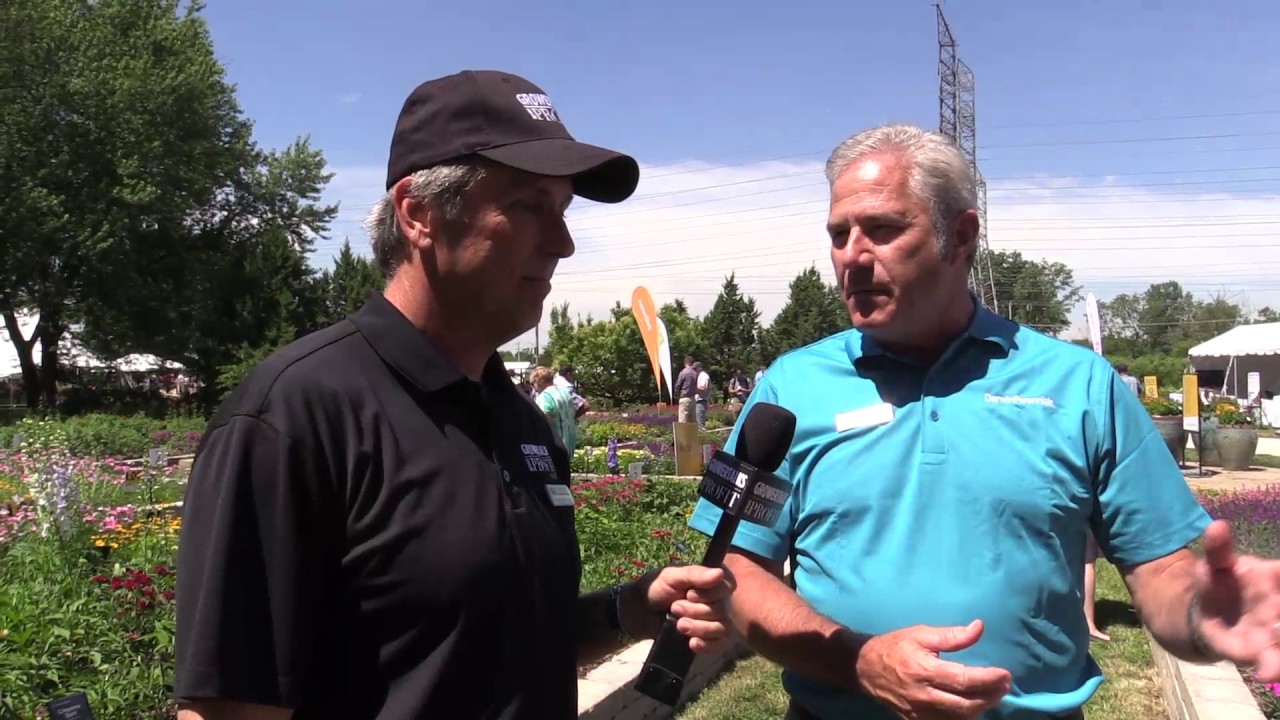 Darwin Perennial Day 2017 YouTube