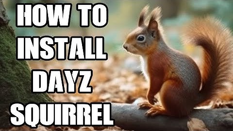 How To Install HunterZ DayZ Squirrel PC Mod On Local & Community Servers - Showcase & Tutorial