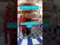 ابو طالب عبدالمطلب عم رسول الله حب بلا اتباع
