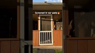 How to screen in your patio. No more 🐜 🕷️ #diyprojects#patiodesign #outdoorrenovation