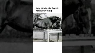 Lady Wonder, the Psychic Horse (1924–1957)