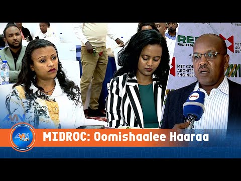 Damee Oomishaalee Haaraa Indaastirii Ijaarsaaf Oolan Ifoomse