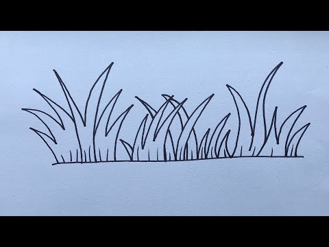 Video: Leef panters in grasveld?