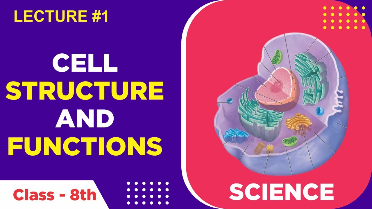 Cell Structure and Functions | Lecture #1 | Science | 8th - YouTube