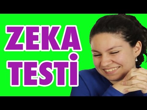 3 Sorulu Zeka Testi