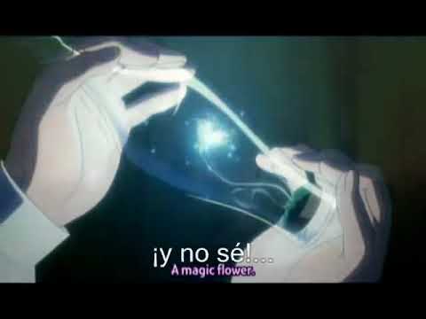 AMV Zero no Tsukaima   Dear Angel Sub Español