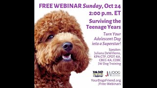 Surviving the Teenage Years – how to turn your crazy adolescent into a superstar