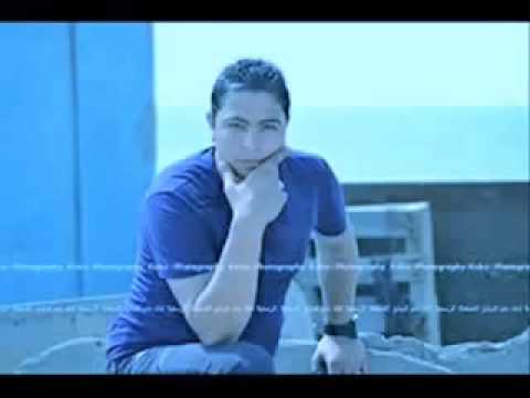 مهرجان الحيتان