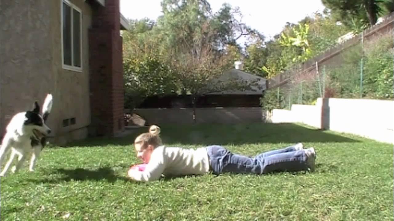 Teach your dog to jump over your back Clicker Puppy Training YouTube