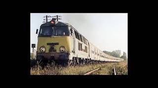 Ryszard Rynkowski - Jedzie pociąg z daleka (1 godzina)