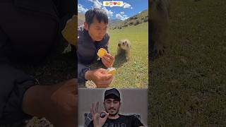 Sunwin | Link tải sunwin Respect animals 🥺❤️#Ep_20